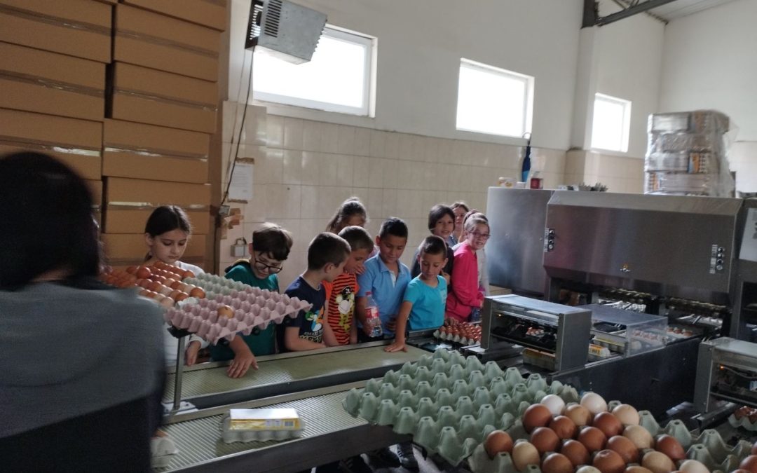 Ученици трећих разреда били у посјети живинарској фарми Кока продукт